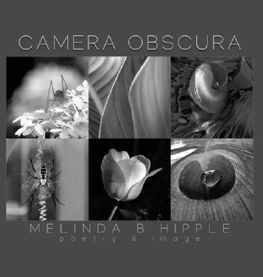 Camera Obscura by Melinda Hipple