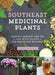 Southeast Medicinal Plants: Southeast Medicinal Plants: Identify, Gather, and Use 106 Wild Herbs for Health and Wellness by Coreypine Shane