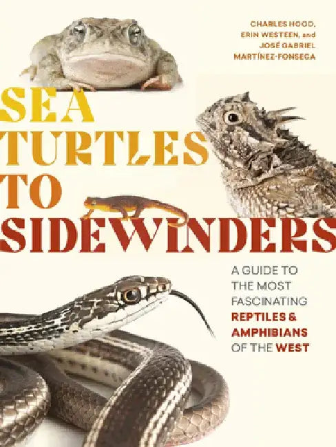 Sea Turtles to Sidewinders: A Guide to the Most Fascinating Reptiles and Amphibians of the West by Charles Hood