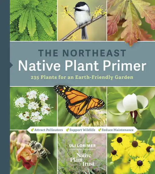 The Northeast Native Plant Primer: 225 Plants for an Earth-Friendly Garden by Native Plant Trust