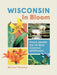 Wisconsin in Bloom: Find and Identify the 141 Most Common Wildflowers by Michael Homoya