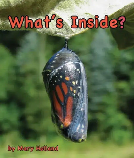 What's Inside? by Mary Holland