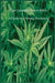 The Cannabis Grow Bible: A Guide to Growing Marijuana by Marijuana Cannabis Association