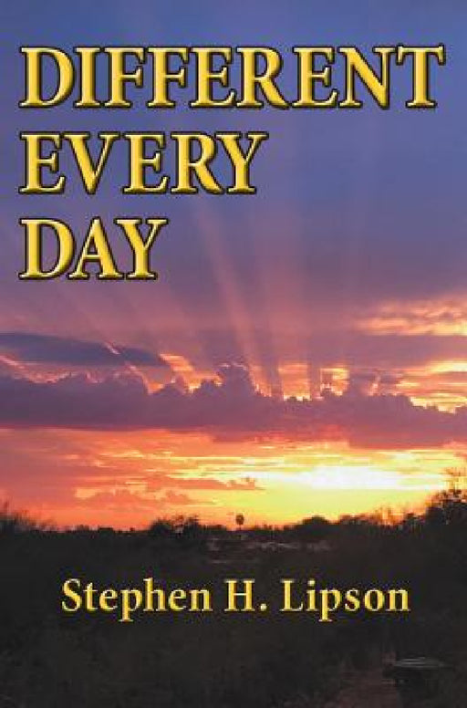 Different Every Day by Stephen H. Lipson