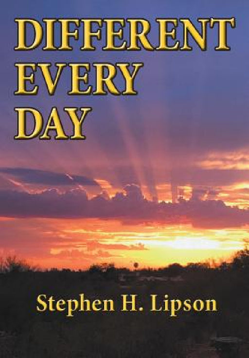 Different Every Day by Stephen H. Lipson