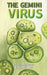 The Gemini Virus by Gino Holland