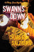 Swann's Down by Charles Salzberg