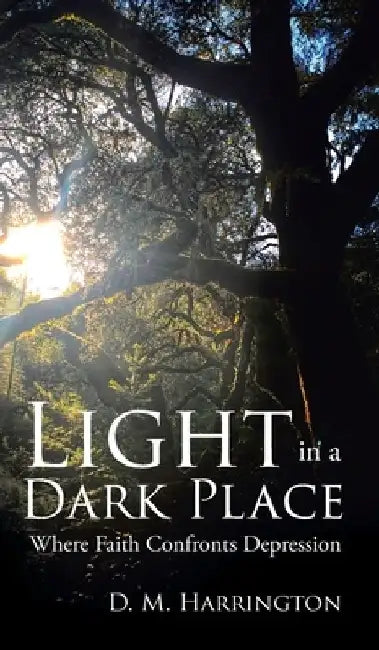 Light in a Dark Place: Where Faith Confronts Depression by D. M. Harrington