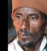 Portraits by Tom Lutz