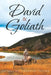 David and Goliath by Jacqueline Jeannette Pfister