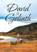 David and Goliath by Jacqueline Jeannette Pfister