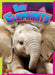 Baby Elephants by Justin Eric Russell