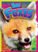 Baby Foxes by Deanna Caswell