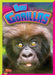 Baby Gorillas by Justin Eric Russell