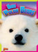 Baby Polar Bears by Deanna Caswell