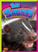 Baby Skunks by Deanna Caswell