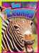 Baby Zebras by Deanna Caswell