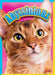 Abyssinians by Nicki Clausen-Grace