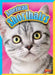 American Shorthairs by Nicki Clausen-Grace