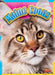Maine Coons by Nicki Clausen-Grace