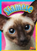Siamese by Nicki Clausen-Grace