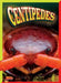 Centipedes by Gail Radley