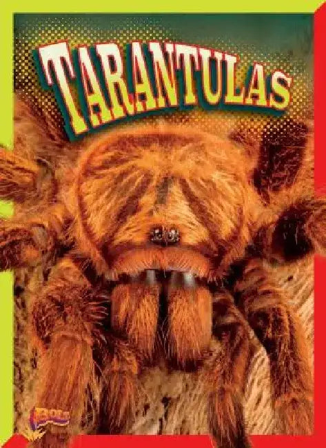 Tarantulas by Marty Gitlin