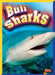 Bull Sharks by Christine Thomas Alderman