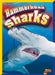 Hammerhead Sharks by Christine Thomas Alderman
