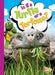Is It a Turtle or a Tortoise? by Gail Terp