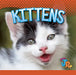 Kittens by Jen Besel
