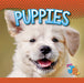 Puppies by Jen Besel