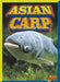 Asian Carp by Barbara Ciletti