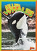 Killer Whales by Gail Terp
