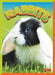 Rabbits by Gail Terp