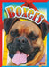 Boxers by Margaret Mincks