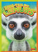 Ring-Tailed Lemurs by Gail Terp
