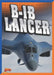 B-1b Lancer by Megan Cooley Peterson