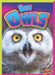 Baby Owls by Deanna Caswell