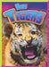 Baby Tigers by Barbara Shafer