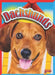 Dachshunds by Christa C. Hogan