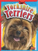 Yorkshire Terriers by Christa C. Hogan