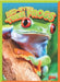 Red-Eyed Tree Frogs by Nicki Clausen-Grace
