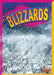 Blizzards by Christine Thomas Alderman