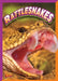 Rattlesnakes by Gail Terp