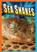 Sea Snakes by Gail Terp