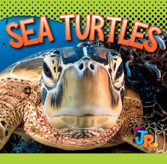 Sea Turtles by Marysa Storm