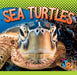 Sea Turtles by Marysa Storm