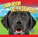 Labrador Retrievers by Marysa Storm
