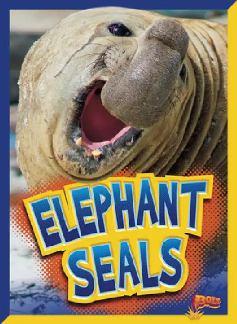 Elephant Seals by Gail Terp
